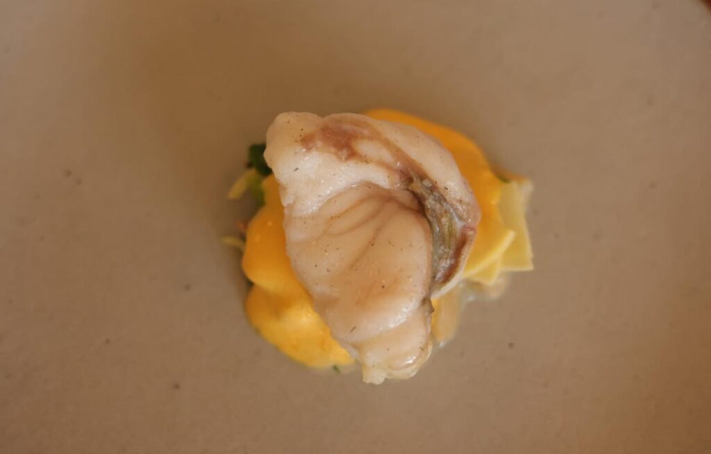 TSUKIHI（ツキヒ）福井